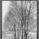 女268专题广告绘本